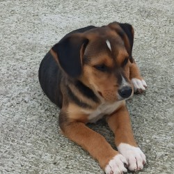 Fiona