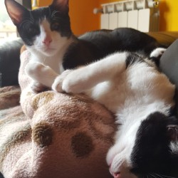 SABINA Y ZEUS