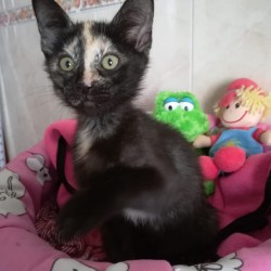 LUNA