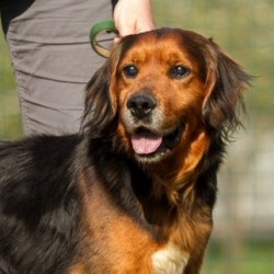 Matu