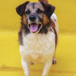 Machín