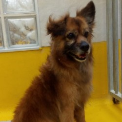 Tula