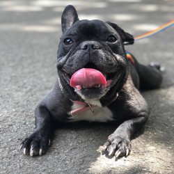 Minnie