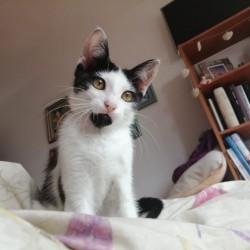 Flúor