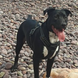 Neo
