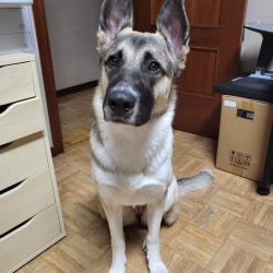 Júpiter